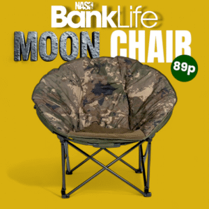 Nash BankLife Moon Chair